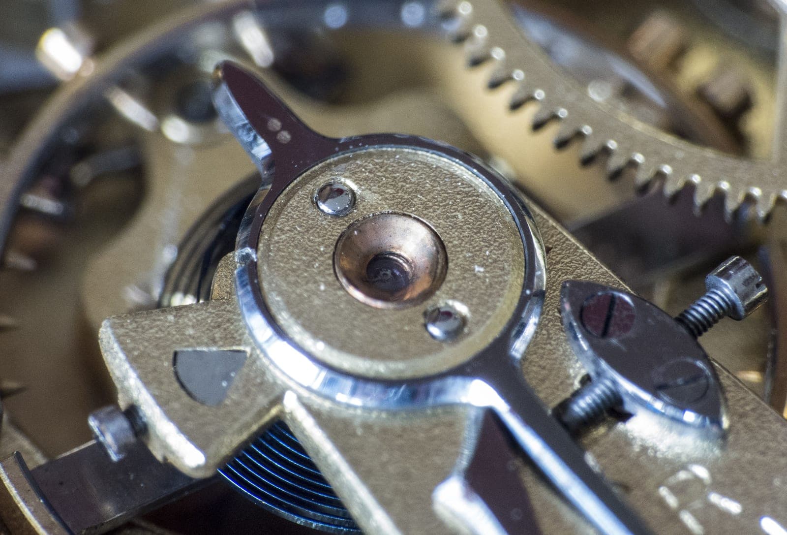 A mechanical watch movement photographed close up, gears and jewels visible